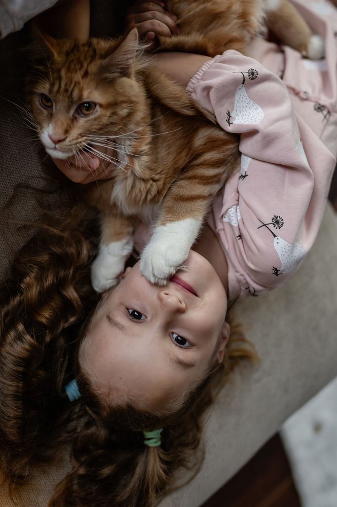 Photograph by Бауэр-Корнева Анна