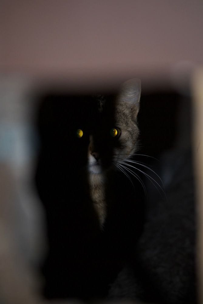 Photograph by Кира Силина