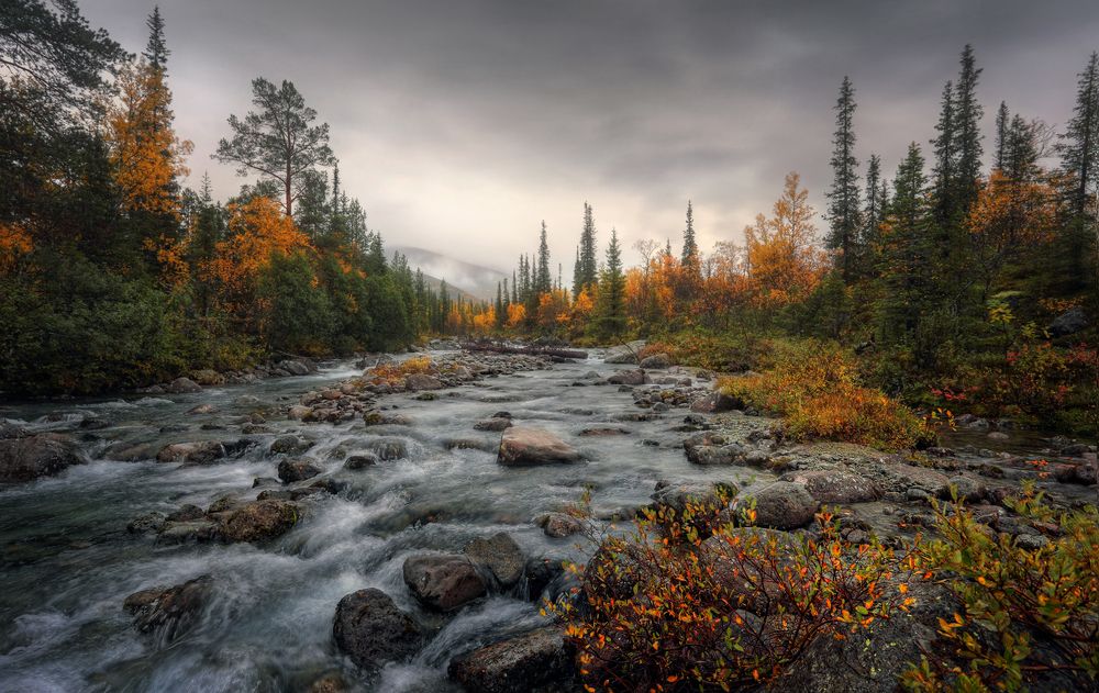 Photograph by Александр Бархатов