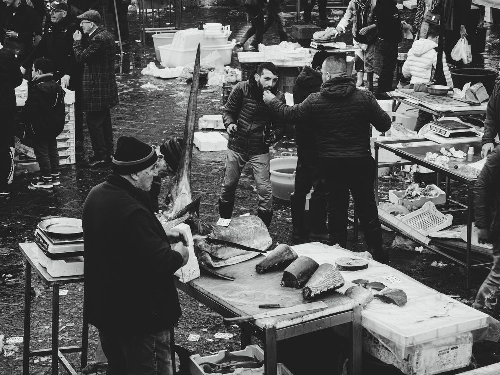 Photograph by Adam Lorenc