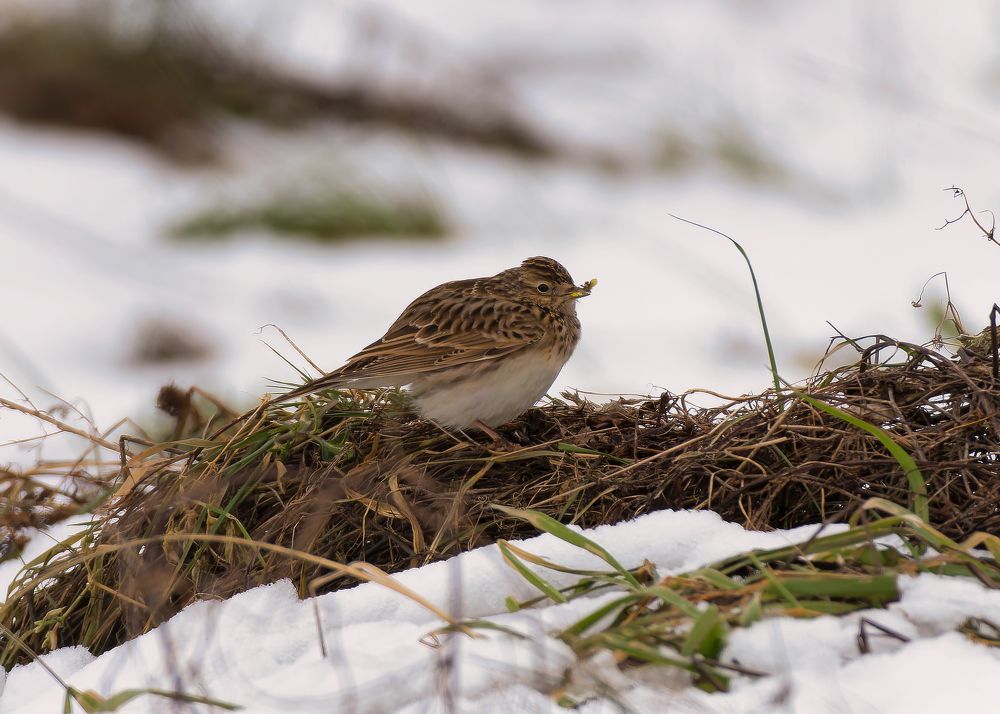 Photograph by Wendy Vanhoudt