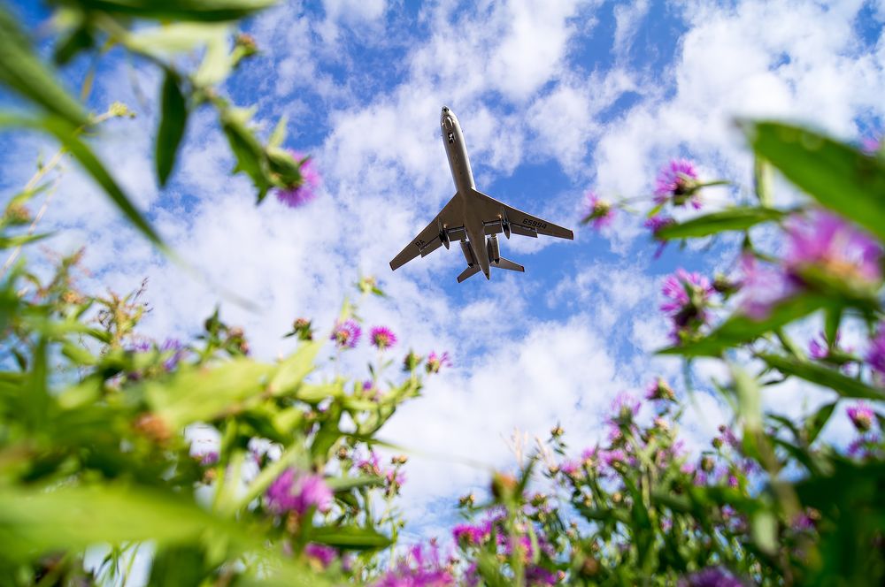 Photograph by Поляков Михаил