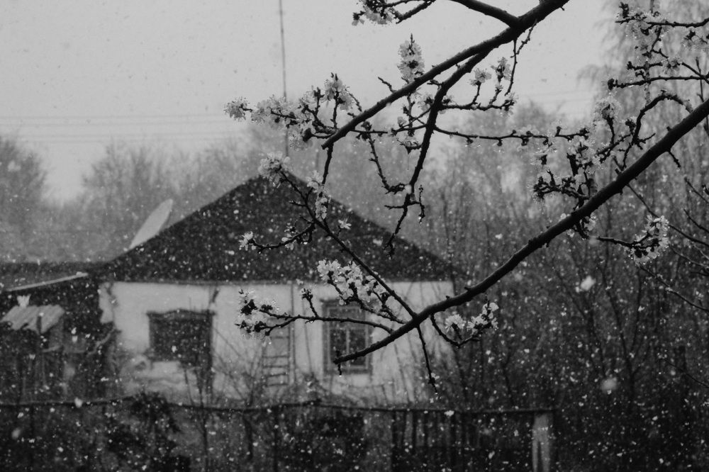 Photograph by Чипочанов Владислав