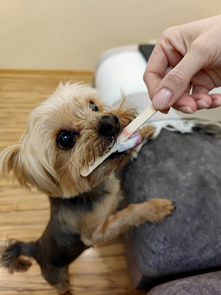 Photograph by Марина Стародуб