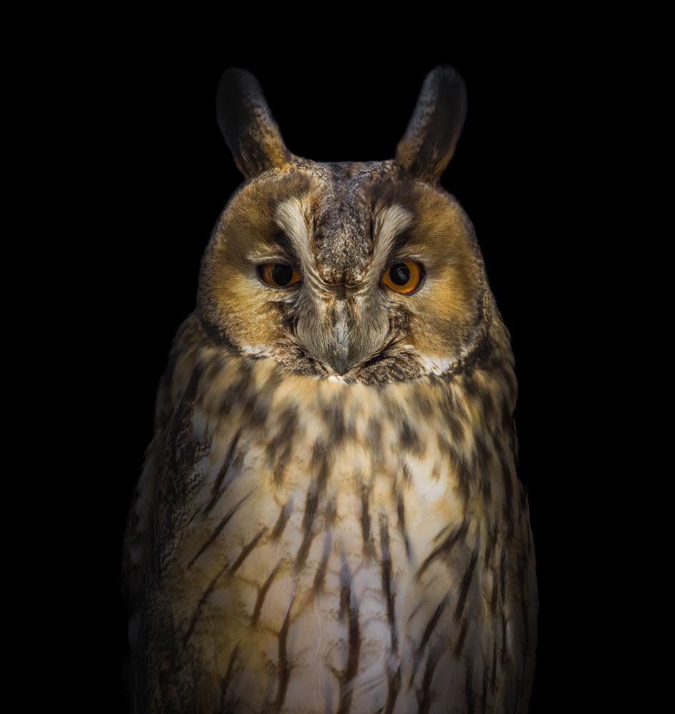 Фотография автора Sebastian Popa