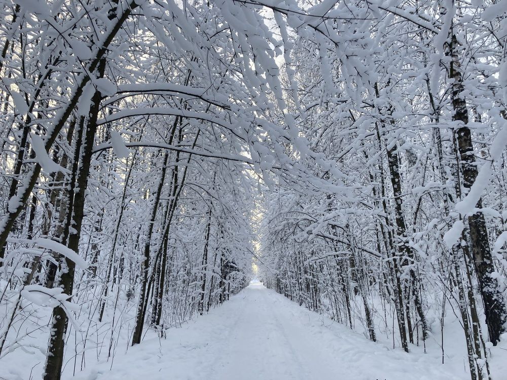 Фотография автора Алина Павлова
