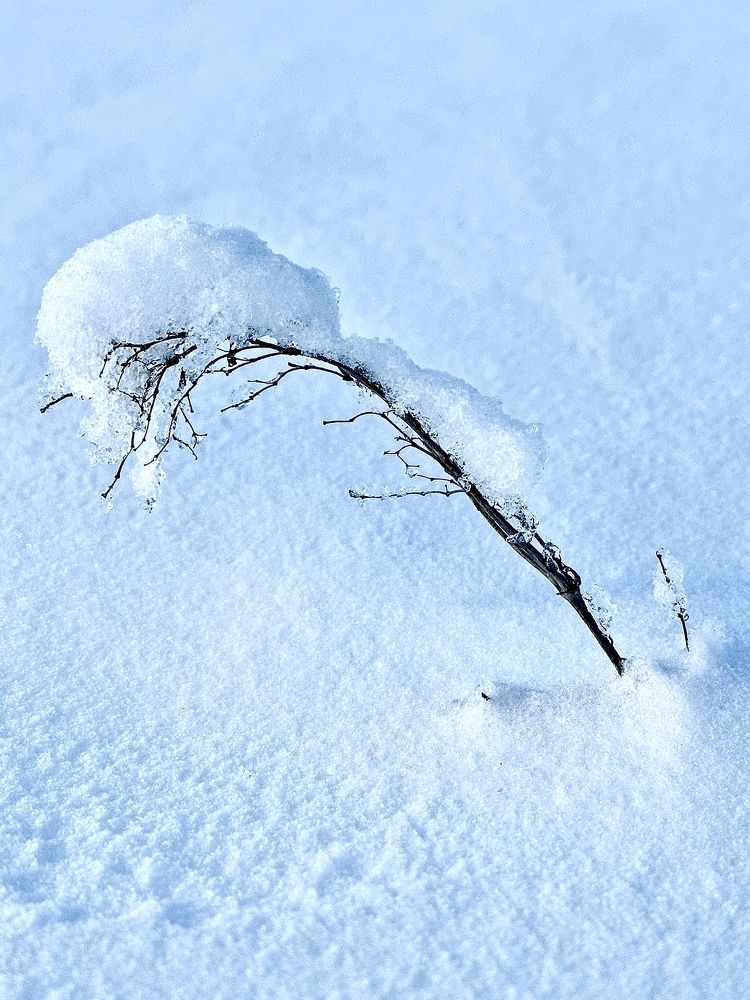 Photograph by Ольга