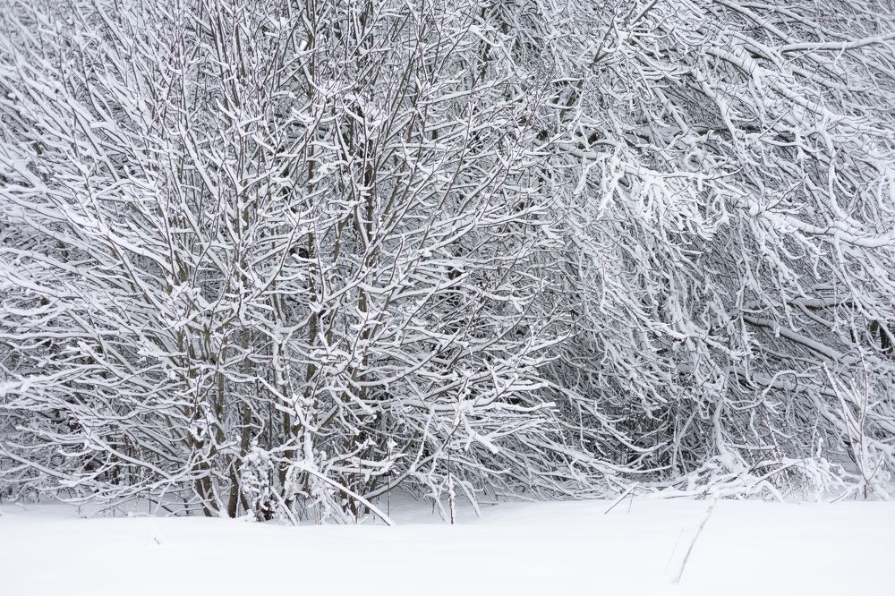 Фотография автора Алина Павлова