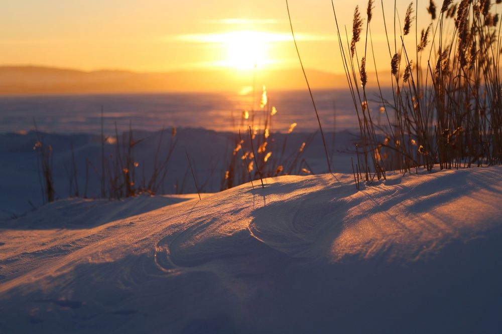 Photograph by Марина Савченко