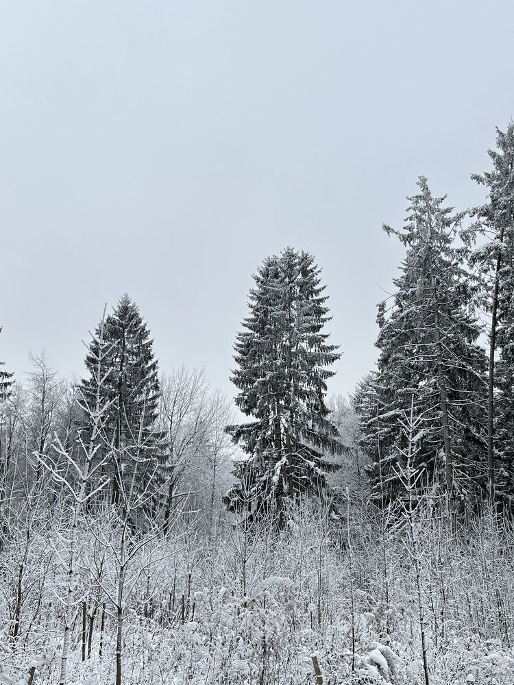 Photograph by Ольга Томашевич