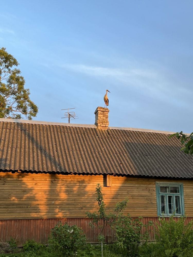 Photograph by Ольга Томашевич