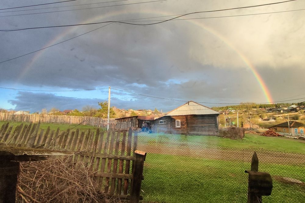 Photo #10156929