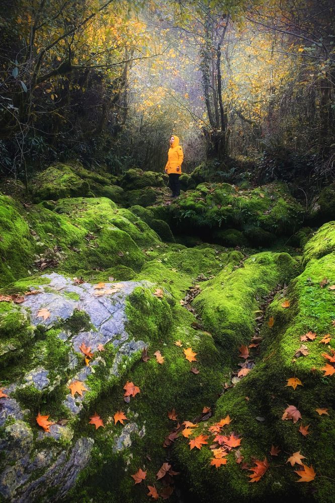 Photograph by Влад Соколовский