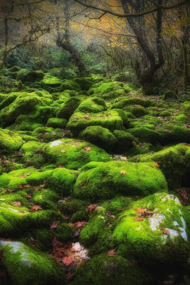 Photograph by Влад Соколовский
