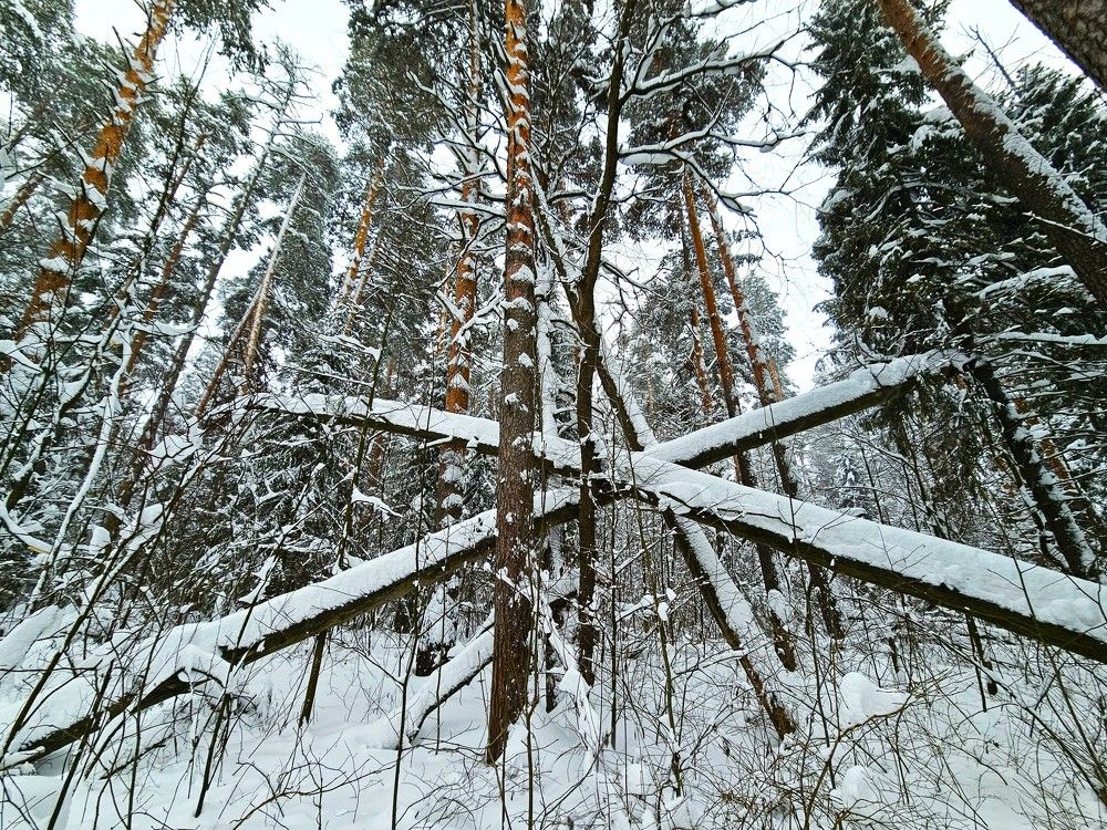 Photograph by Андрей С