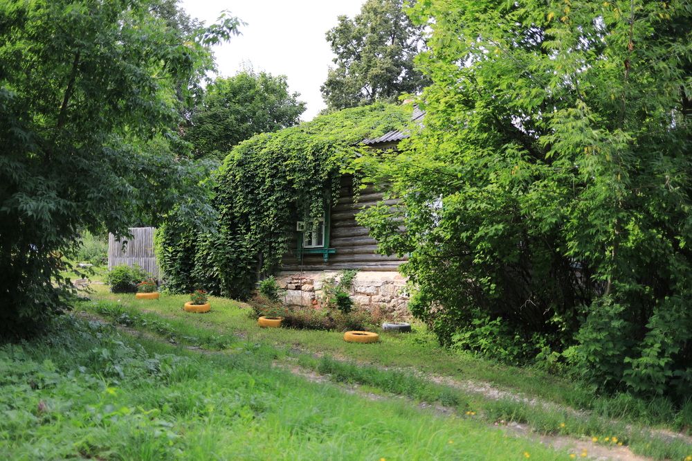 Photograph by Владимир Грибков