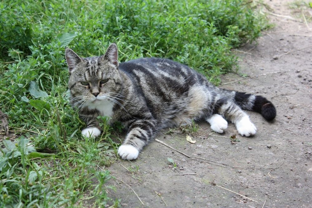 Photograph by Виктор Полуэктов