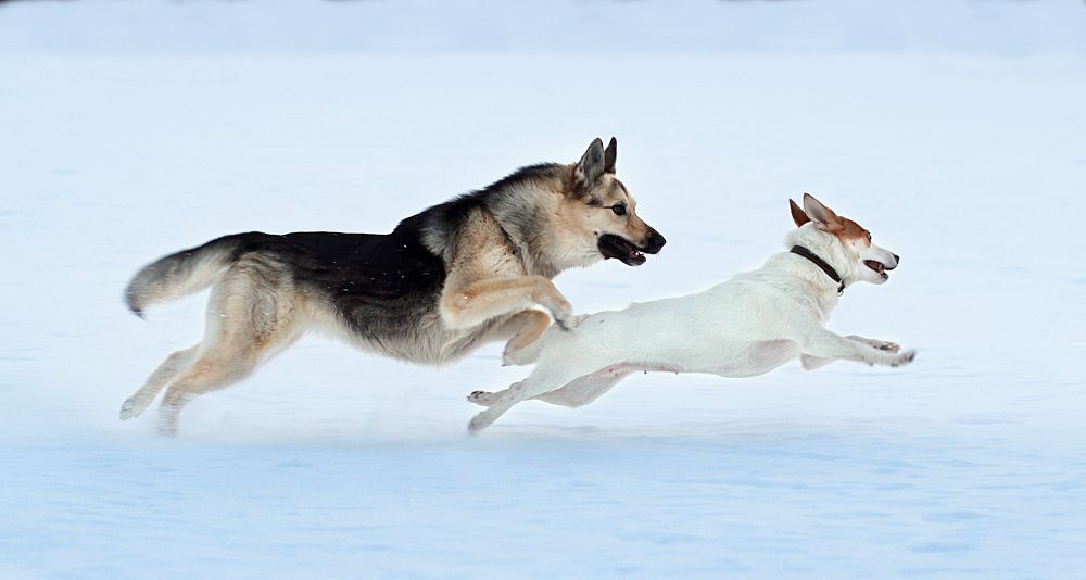 Photograph by Галина Щурова