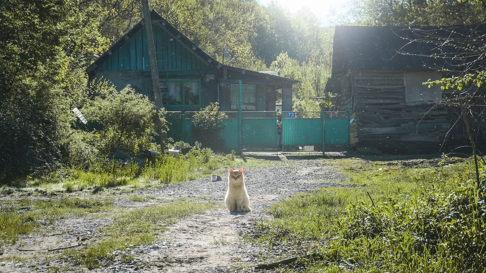 Photograph by Щербак Анатолий