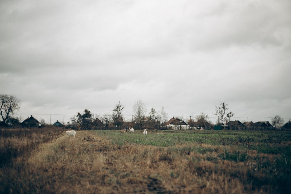 Photograph by Елена Копылова