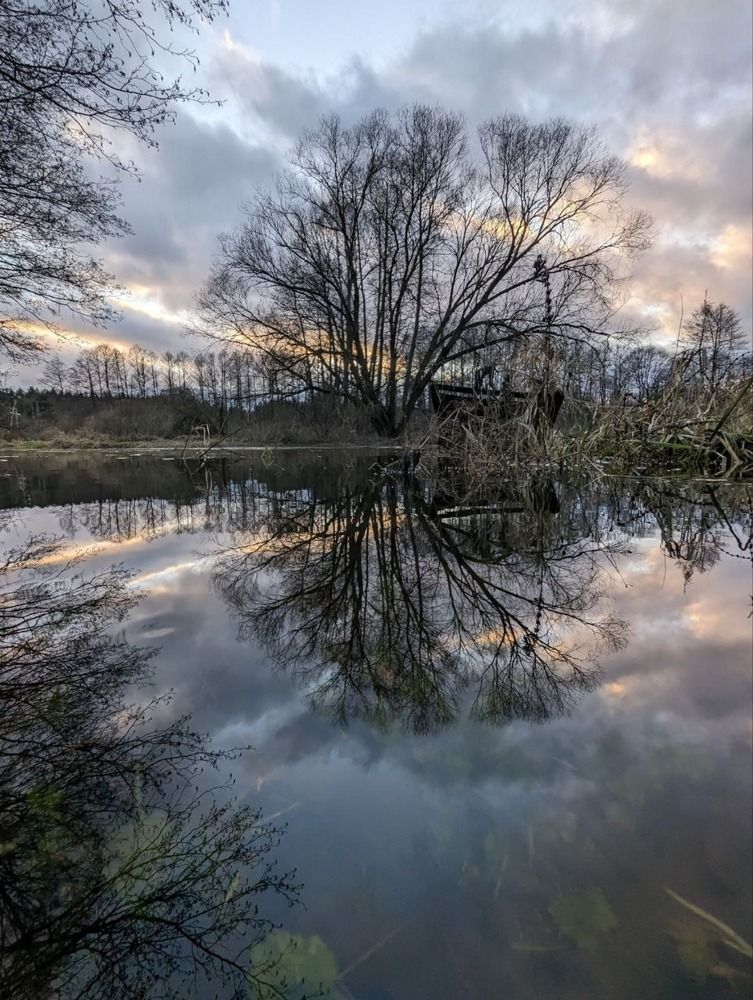 Photograph by Юля Кореневская