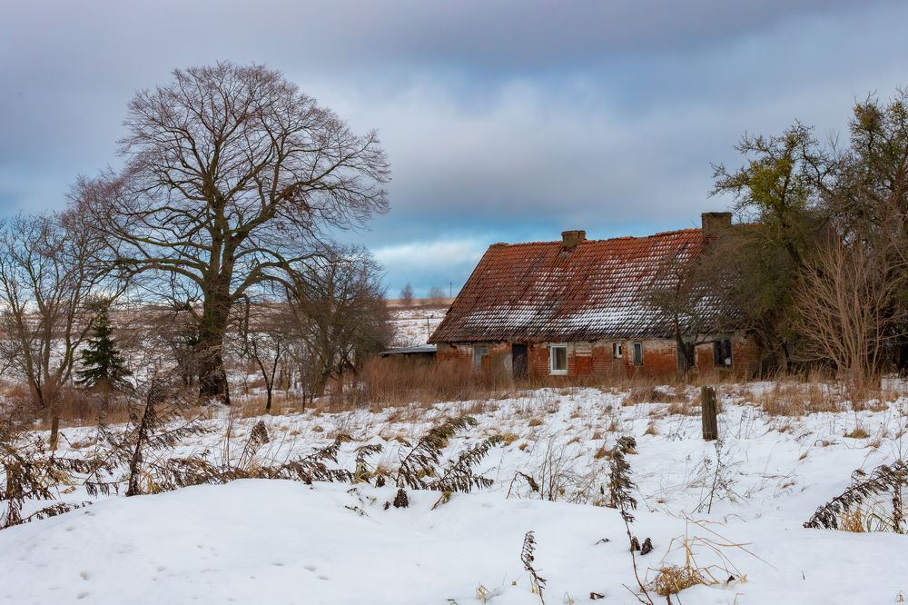 Photograph by Константин Чижов