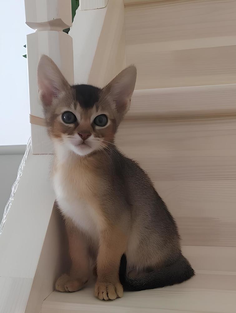 Photograph by Елена Сухорученкова