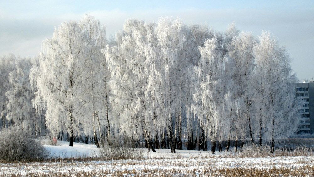 Фотография автора Юрий Рудый