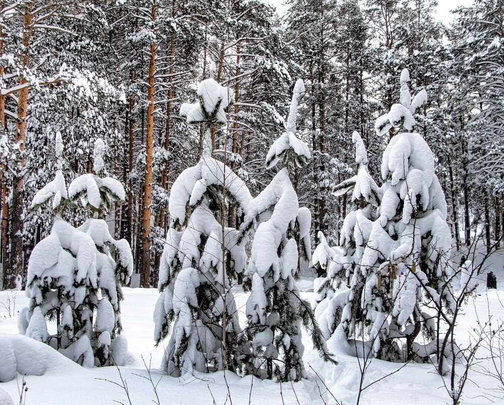 Photograph by Юлия