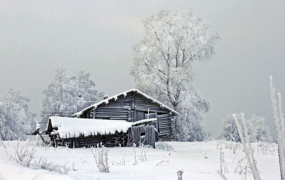 Photograph by Елена Маракулина