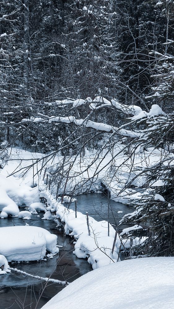 Photograph by Irina Edelvejs