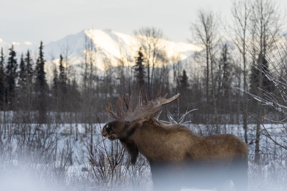 Photograph by Jared Solberg