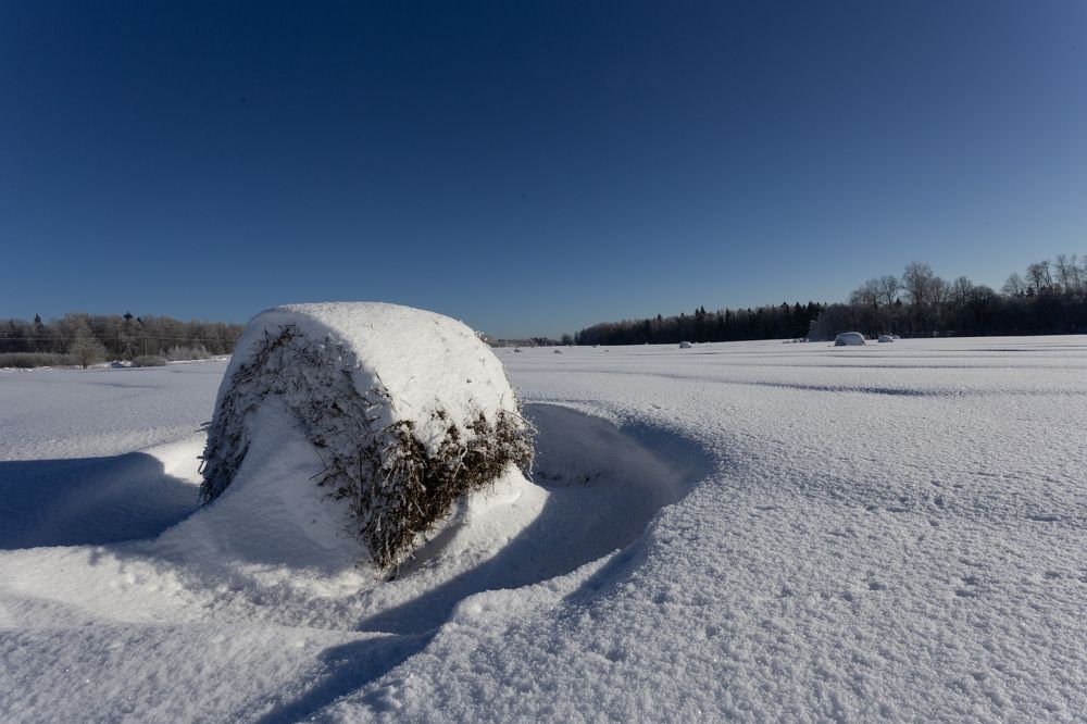 Photograph by Михаил Беликов