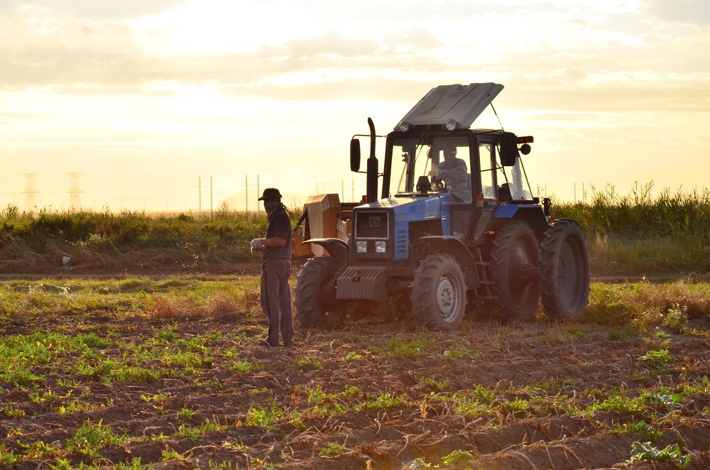 Photograph by Валерий Федяров