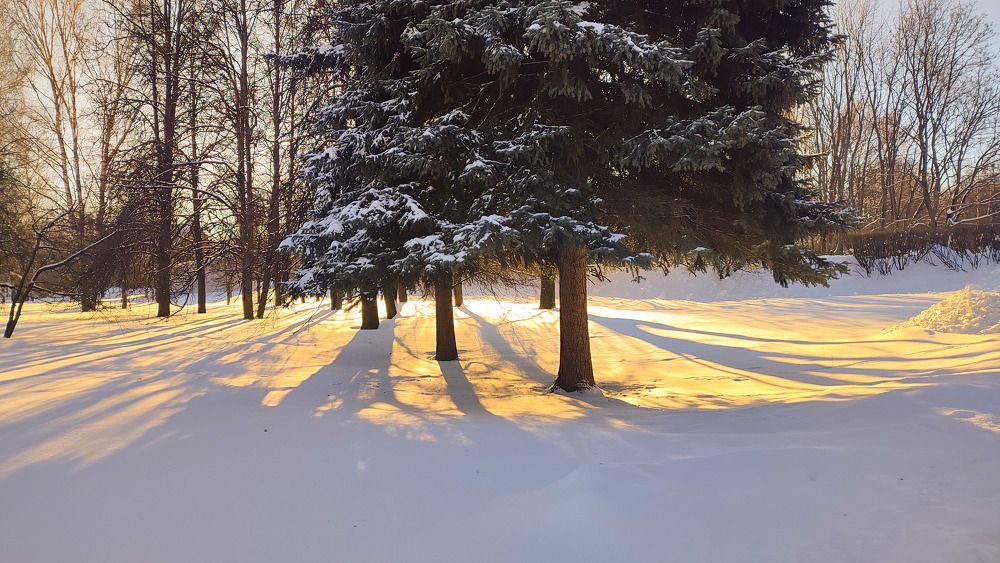 Photograph by Marina Selina