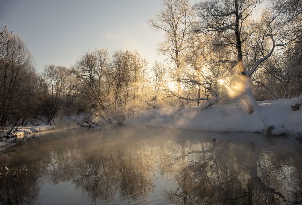 Photograph by Елена Маракулина