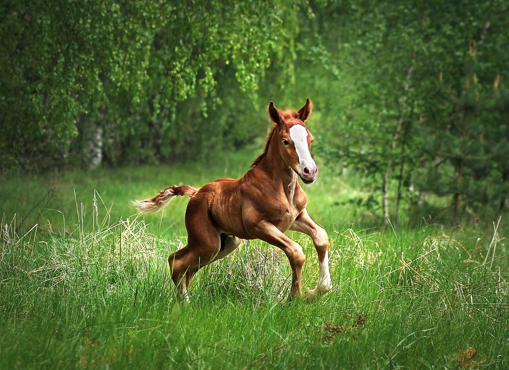 Photograph by Галина Щурова