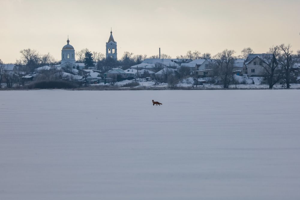 Photograph by Сергей Конюшенко