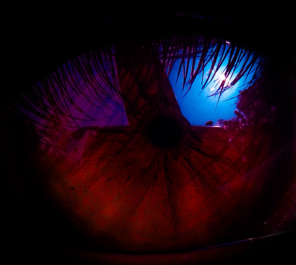 Photograph by Amar Vedula
