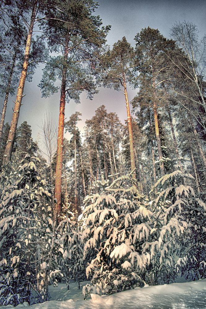 Photograph by Альфия Агзами