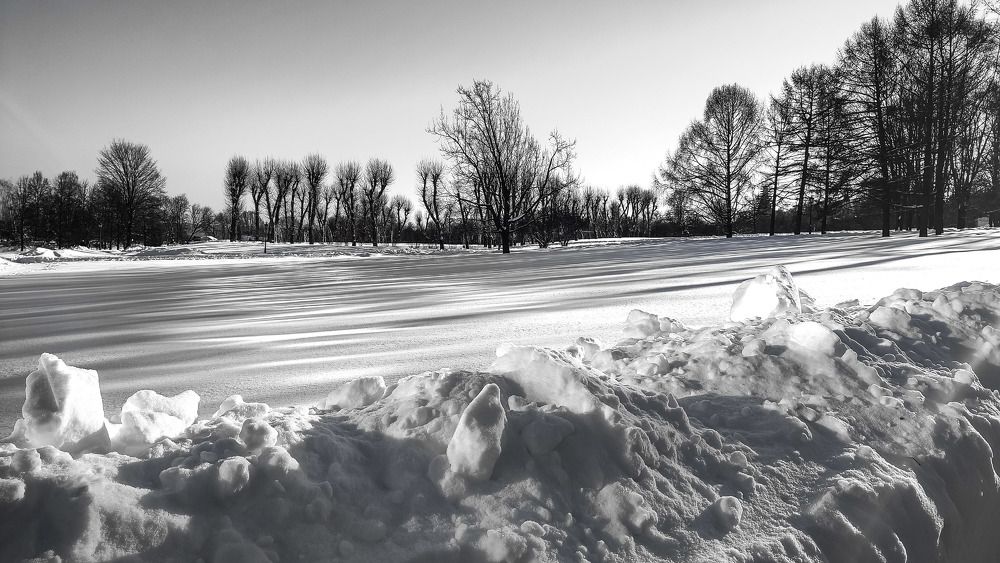 Photograph by Marina Selina