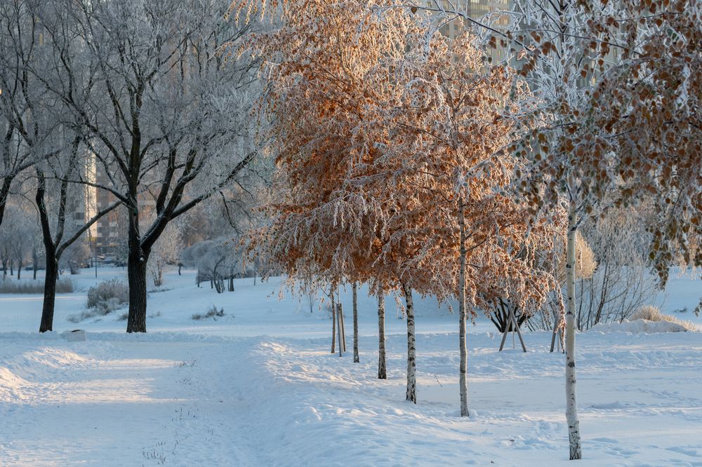 Photograph by Юлия Куликова