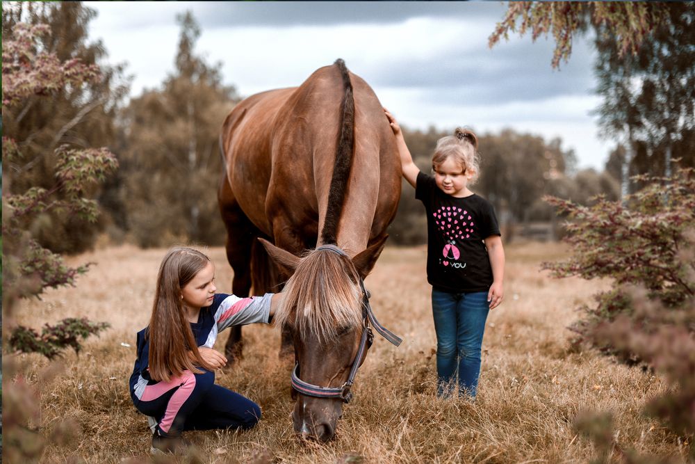 Фотография автора Елена Ушакова