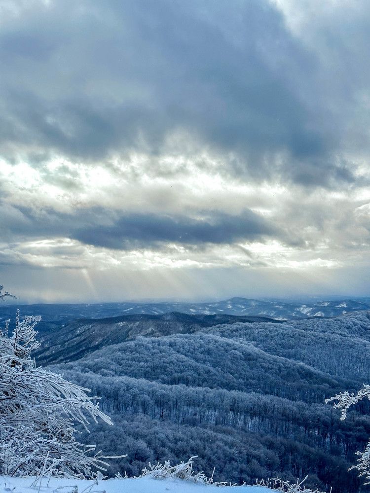 Photograph by Анастасия Соболевская