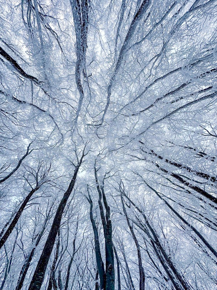 Photograph by Анастасия Соболевская