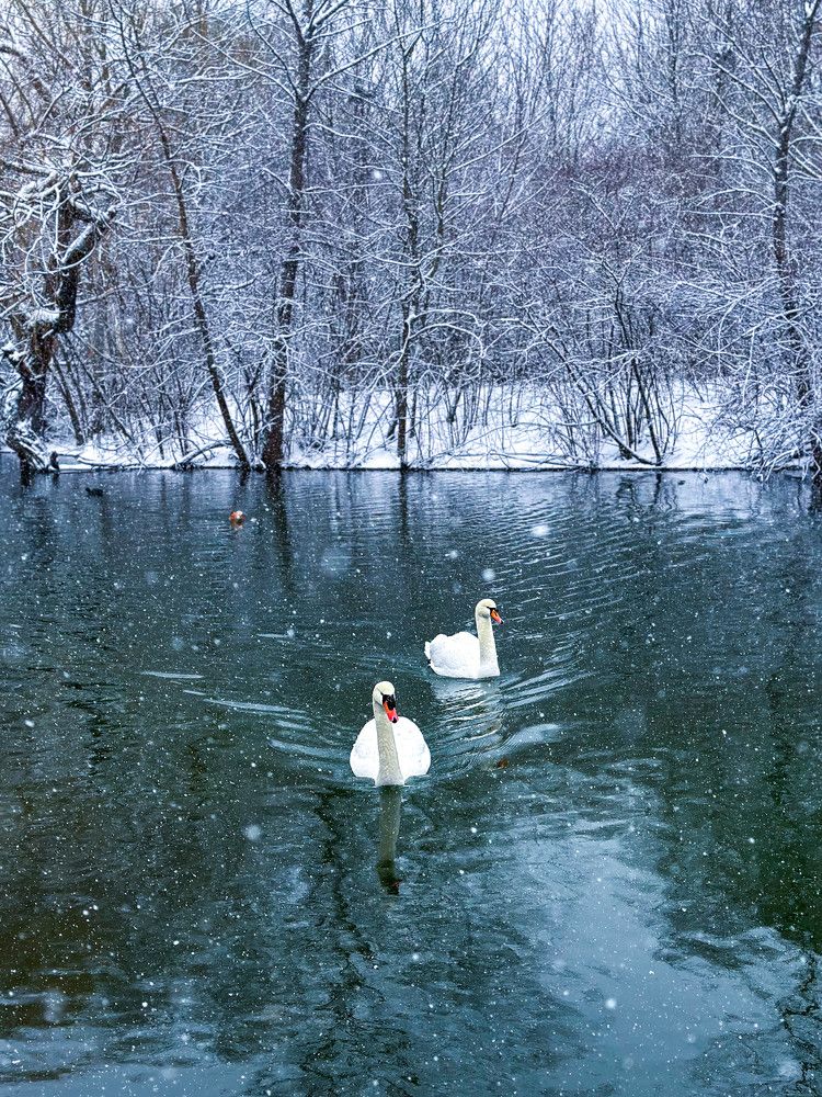 Photograph by Анастасия Соболевская