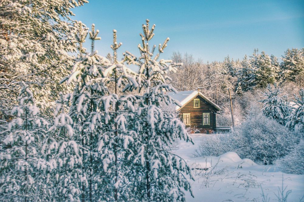 Photograph by Екатерина Сорока