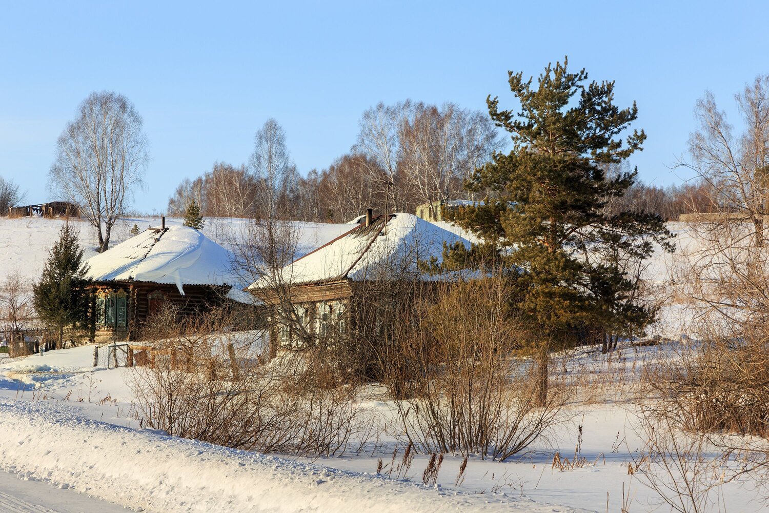 Photo #10157522
