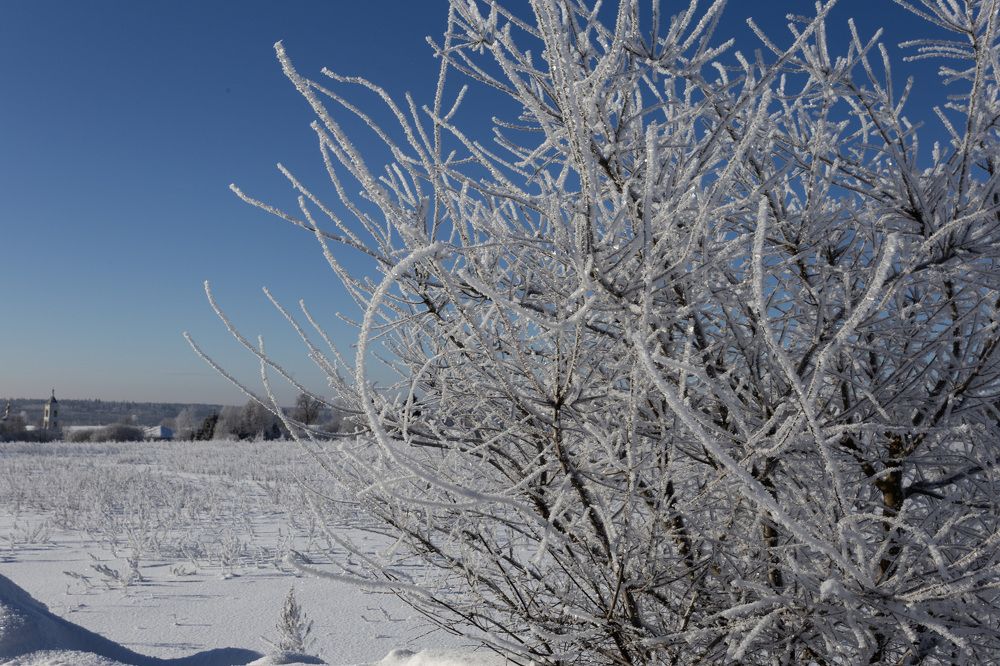 Photograph by Михаил Беликов