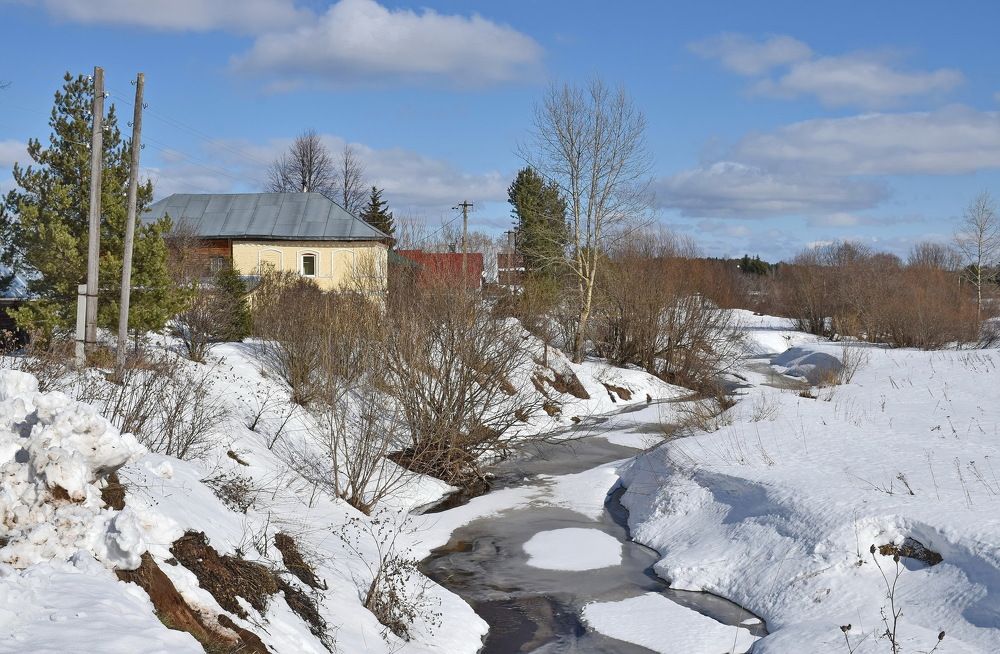 Весна в деревне Чарушины.